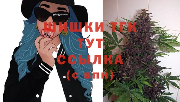 прущий лед Ельня