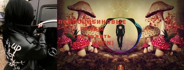 apvp Приозерск