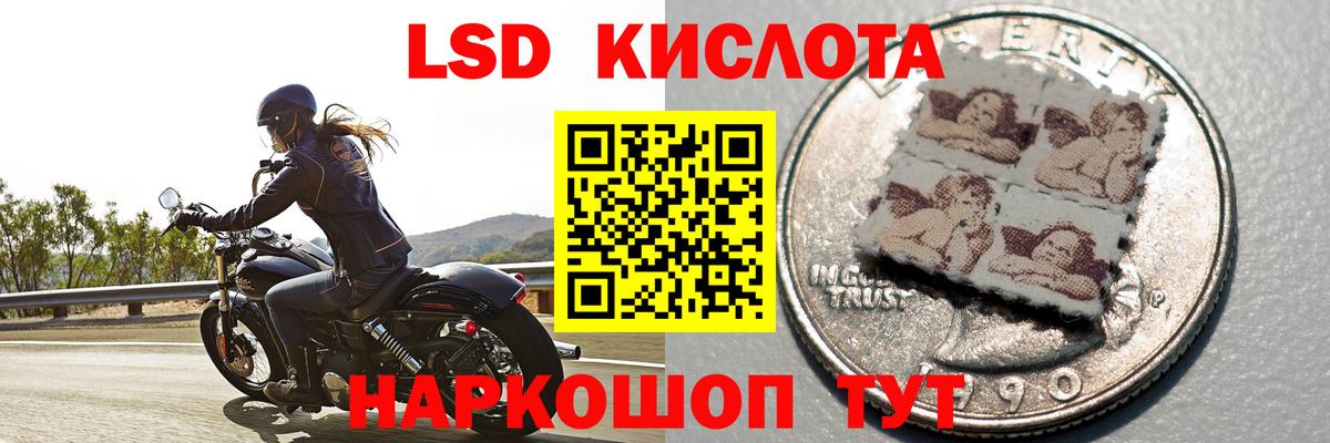 Лсд 25 экстази кислота Свободный