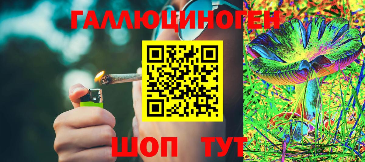 Галлюциногенные грибы прущие грибы Свободный