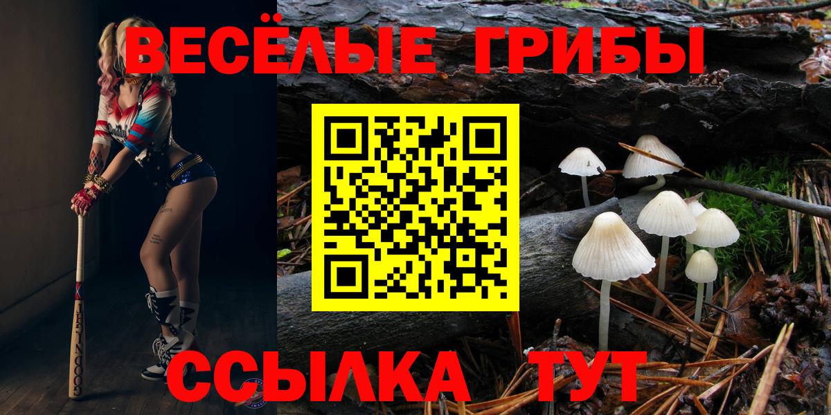 Свободный  Галлюциногенные грибы мицелий  купить  цена  Вход с VPN 