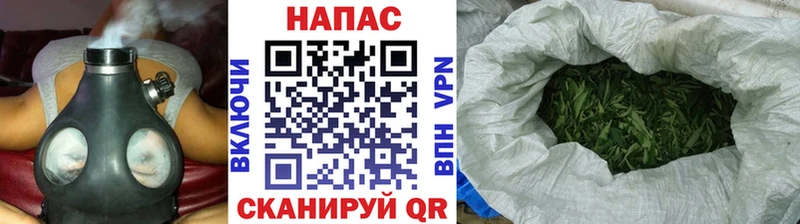Бошки Шишки VHQ  Свободный 